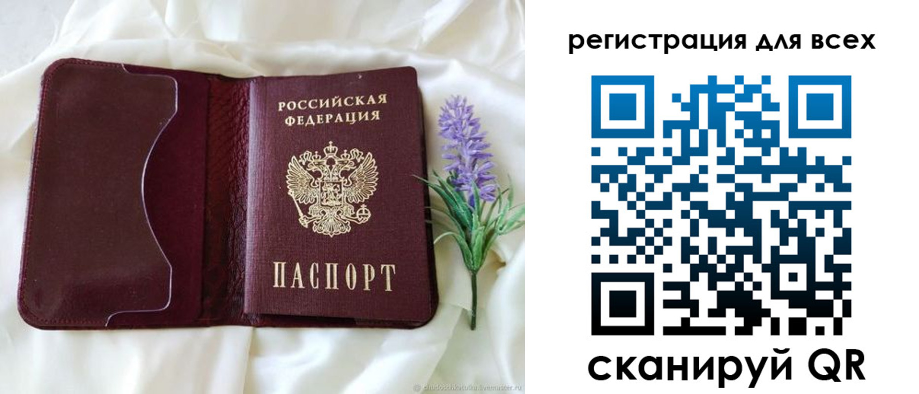 прописка 2025 в Камешково